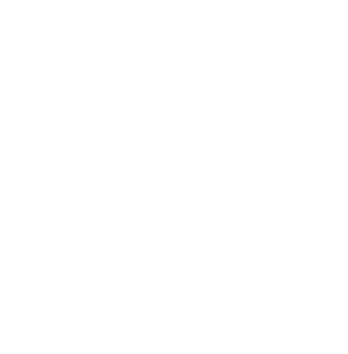 PROGRAMME IMMO